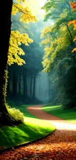 Serene autumn forest path with vibrant leaves.