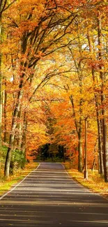 Autumn forest path with vibrant orange leaves.