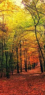 Colorful autumn forest with fallen leaves covering a path.