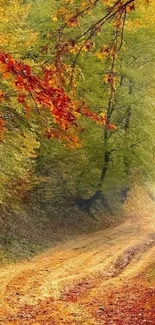 Autumn forest path with vibrant leaves on a scenic trail under a clear sky.