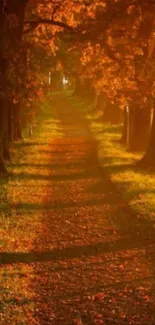 Autumn forest path with vibrant orange foliage.