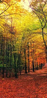 Autumn forest path with vibrant orange leaves and sunlight filtering through trees.