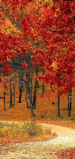 Vibrant autumn forest path with red foliage.