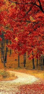 Autumn forest path with vibrant red leaves.