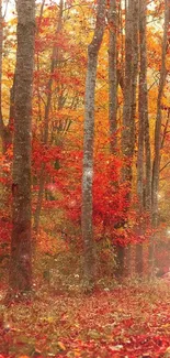 Autumn forest path with red leaves under tall trees.