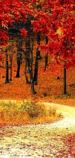 Autumn forest path with red leaves and a winding trail.