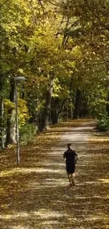 A jogger on a leaf-covered forest path in autumn.