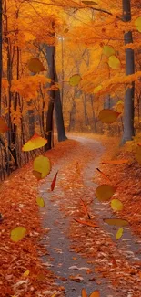 Autumn forest pathway with orange leaves falling.