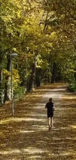 Boy walks through a golden autumn forest pathway covered in leaves.