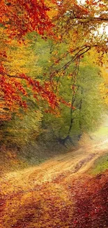 Vibrant autumn forest path with colorful foliage and serene atmosphere.