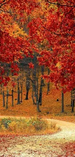 Scenic autumn forest path with vibrant red leaves.