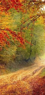Vibrant autumn forest path mobile wallpaper.