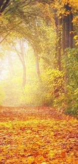 Autumn forest pathway with vibrant orange leaves.