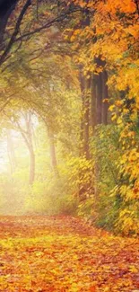 Autumn forest pathway with vibrant fall leaves and sunlight filtering through trees.