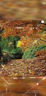 Autumn forest pathway with vibrant leaves and serene scenery.