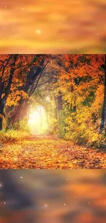 Autumn forest pathway with vibrant orange leaves.