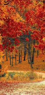 Vibrant autumn forest path with red foliage.