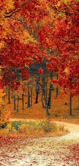 Path through vibrant autumn forest with red and orange leaves.