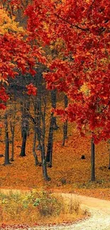 Autumn forest with red and orange leaves and a winding path.