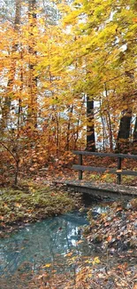 Tranquil autumn forest scene with vibrant orange leaves and a wooden bridge.