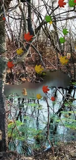 Autumn forest wallpaper with colorful leaves