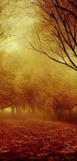 Autumn forest with orange leaves and a serene misty atmosphere.