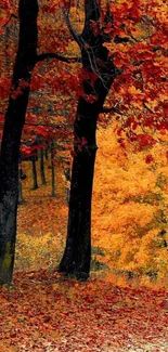 Orange autumn forest wallpaper with vibrant leaves.