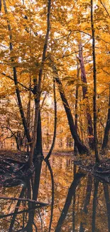 Autumn forest with golden leaves reflecting in a calm stream for mobile wallpaper.