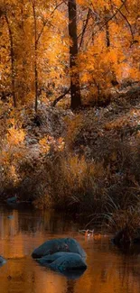 Serene autumn forest with orange leaves and reflective stream.