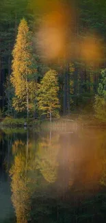 Autumn trees reflected in calm forest water.