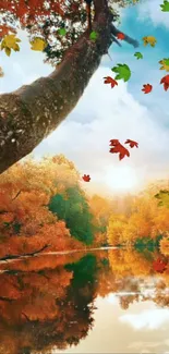 Scenic autumn forest with reflective river view and colorful falling leaves.