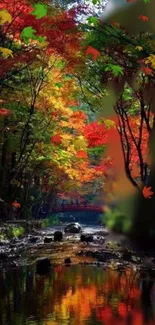 Beautiful autumn forest with colorful leaves and reflection in calm water.