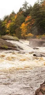 Autumn forest river with vibrant fall trees