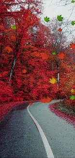 Serene autumn forest road with red foliage.