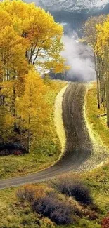 Winding road through a bright autumn forest with yellow trees under a cloudy sky.