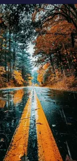 Rain-soaked autumn road with vibrant foliage.