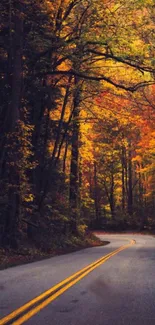 Autumn forest road with vibrant golden foliage and a winding path.