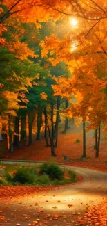 Serene forest path with vibrant orange autumn leaves, bathed in sunlight.