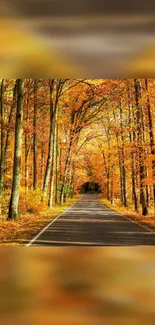 Serene autumn forest road with orange leaves for mobile wallpaper.