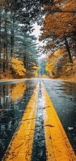 Autumn road with vibrant foliage and reflections in a forest setting.