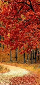 Scenic autumn forest path with vibrant red leaves.