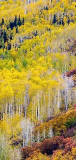 Mobile wallpaper of colorful autumn forest with yellow trees.