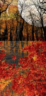 Autumn forest wallpaper with vibrant red foliage and clear sky.