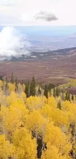 Scenic autumn forest with yellow trees and a cloudy sky.