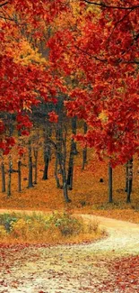 Vibrant autumn forest with red foliage and winding path.