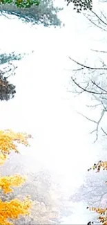 Serene autumn forest with yellow leaves and misty background.