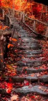 Stone steps in vibrant autumn forest with red-orange leaves.