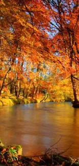 Autumn forest stream with vibrant orange foliage and serene water.