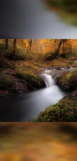 Autumn forest stream with flowing water and vibrant foliage.