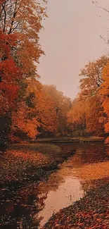 Serene autumn forest with stream and orange leaves.